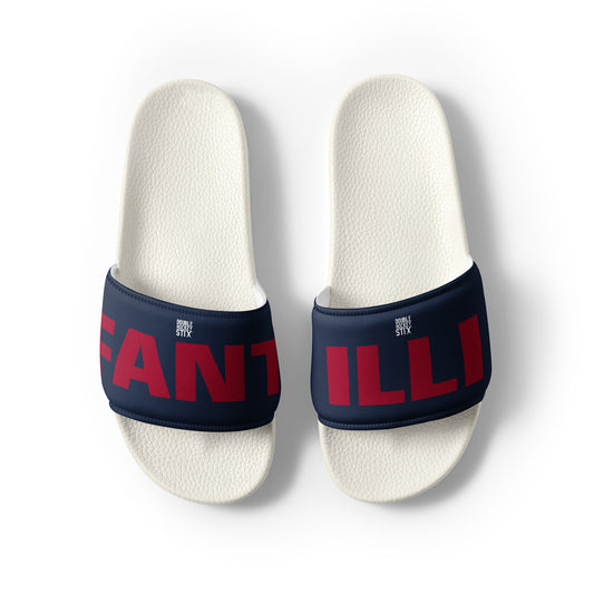 FANTILLI SLIDES