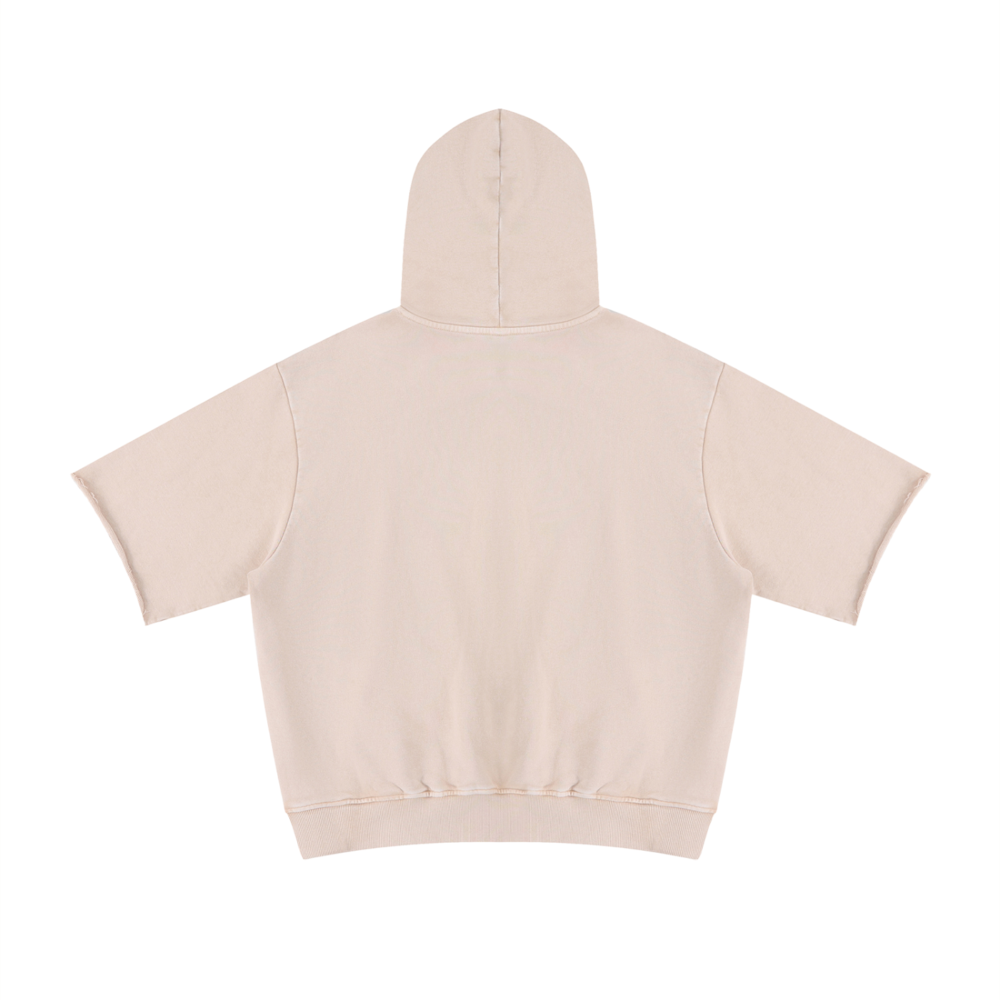 HERE TO RUIN SHORT SLEEVE HOODIE MVP COLLECTION