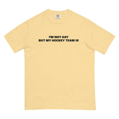 NOT GAY TEE